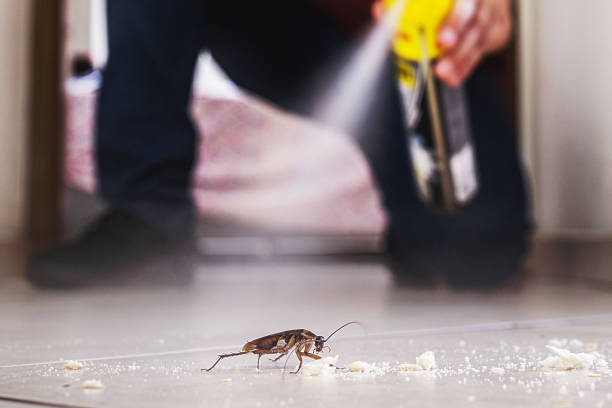 Reliable Taos Pueblo, NM Pest Control Solutions